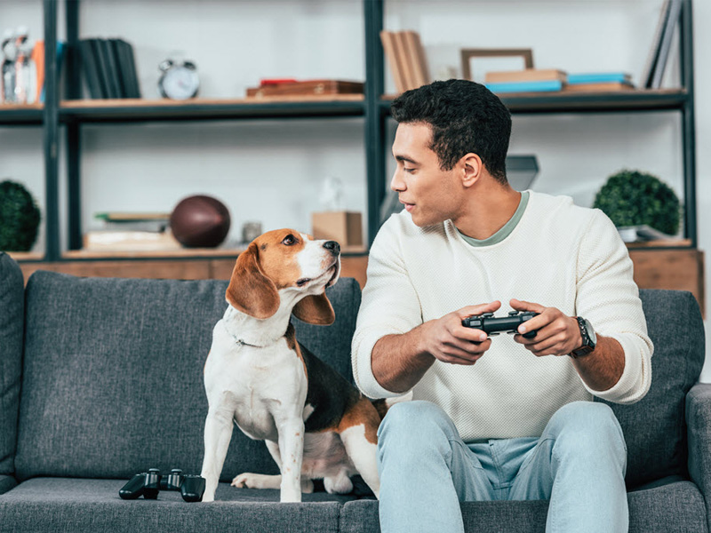 Pet-Friendly Policies